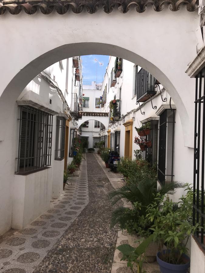 Apartamento A. Andalusi. Κόρδοβα Εξωτερικό φωτογραφία